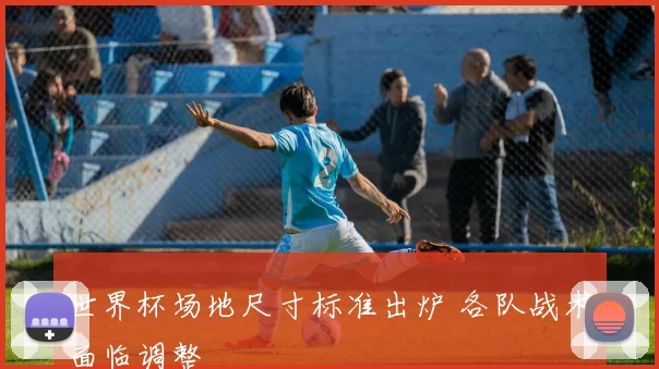 世界杯场地尺寸标准出炉 各队战术面临调整