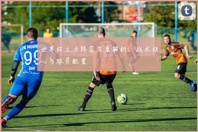 世界杯主力阵容深度解析:战术核心与球员配置