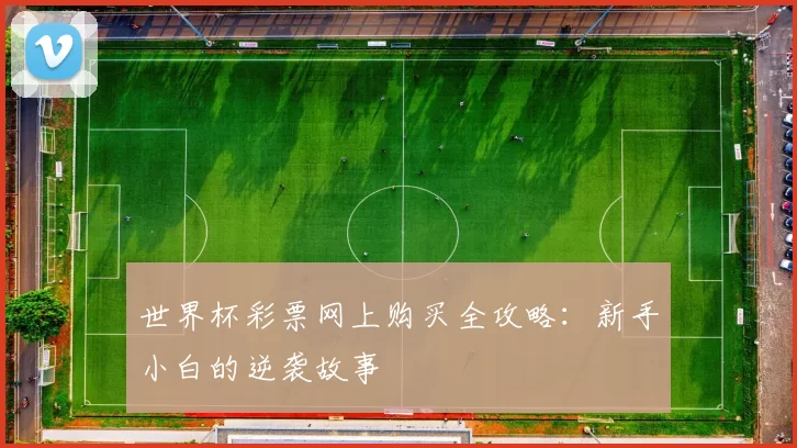世界杯彩票网上购买全攻略:新手小白的逆袭故事