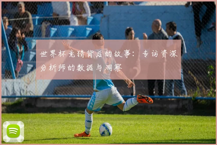 世界杯竞猜背后的故事:专访资深分析师的数据与洞察