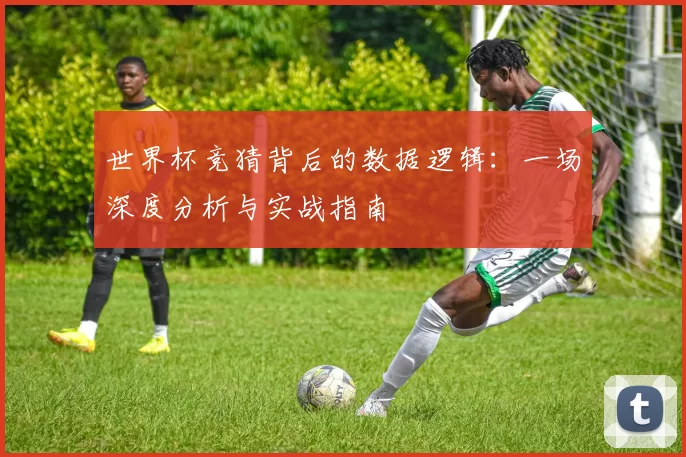 世界杯竞猜背后的数据逻辑:一场深度分析与实战指南