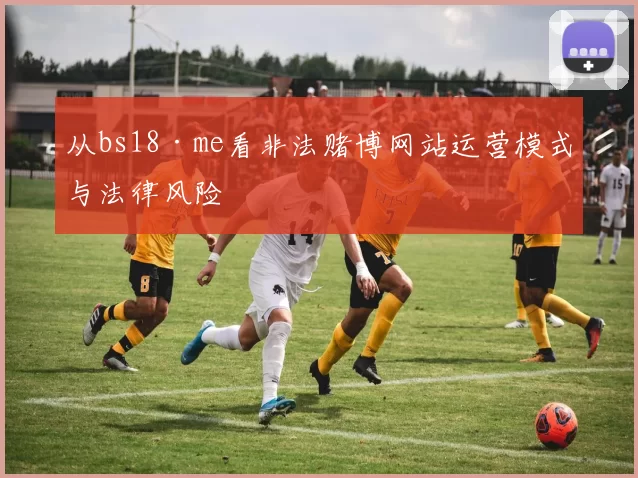 从bs18·me看非法赌博网站运营模式与法律风险