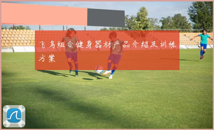 飞鸟组合健身器材产品介绍及训练方案