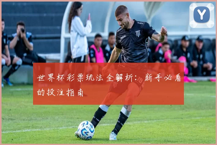 世界杯彩票玩法全解析：新手必看的投注指南