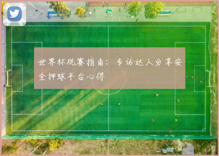 世界杯观赛指南：专访达人分享安全押球平台心得