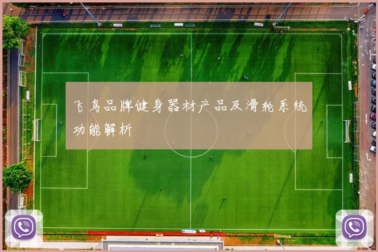 飞鸟品牌健身器材产品及滑轮系统功能解析