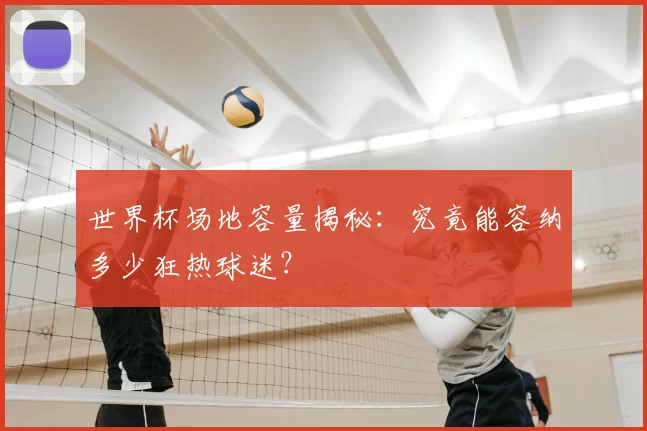 世界杯场地容量揭秘:究竟能容纳多少狂热球迷?