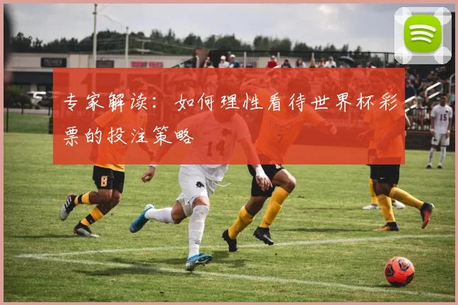 专家解读:如何理性看待世界杯彩票的投注策略