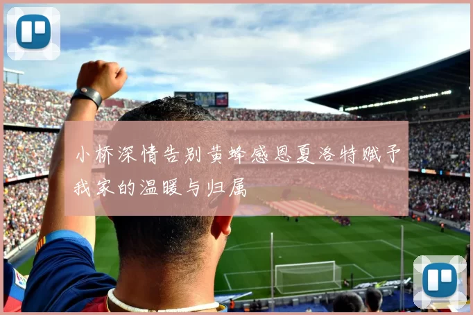 小桥深情告别黄蜂感恩夏洛特赋予我家的温暖与归属