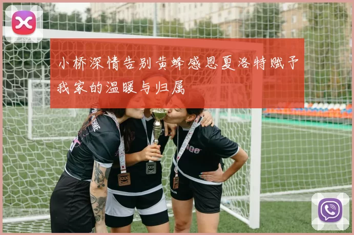小桥深情告别黄蜂感恩夏洛特赋予我家的温暖与归属