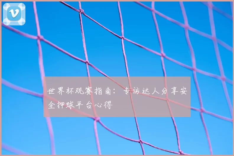 世界杯观赛指南：专访达人分享安全押球平台心得