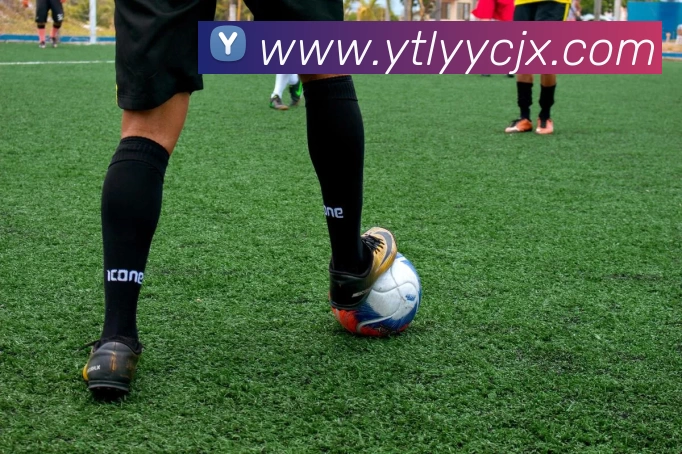 多媒体互动体验